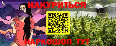 МДПВ Краснознаменск
