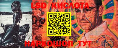 PSILOCYBIN Краснодар